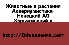 Животные и растения Аквариумистика. Ненецкий АО,Харьягинский п.